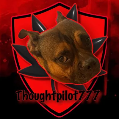 @thoughtpilot777 profile image