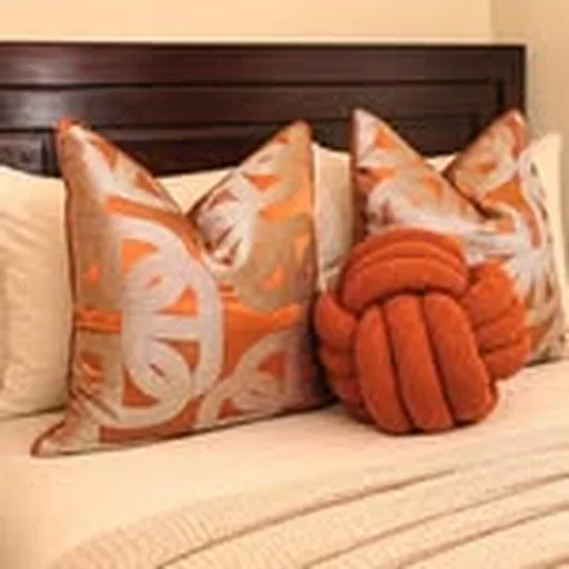 @throwpillowsbyshillah profile image