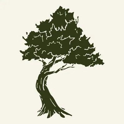 @thuja_vt profile image