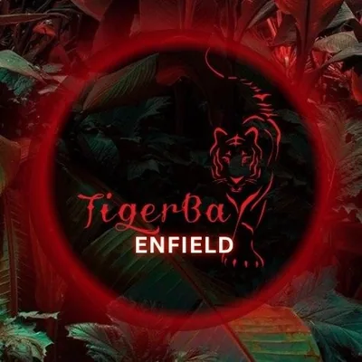@tigerbayenfield profile image