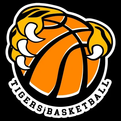 @tigersbasketball1611 profile image
