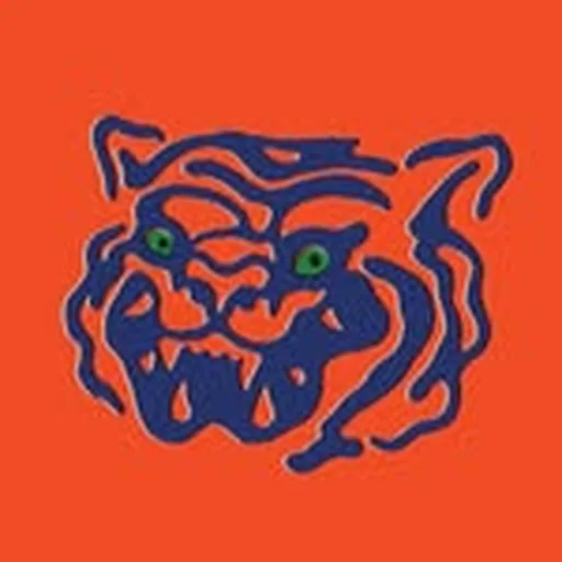 @tigersunatl profile image