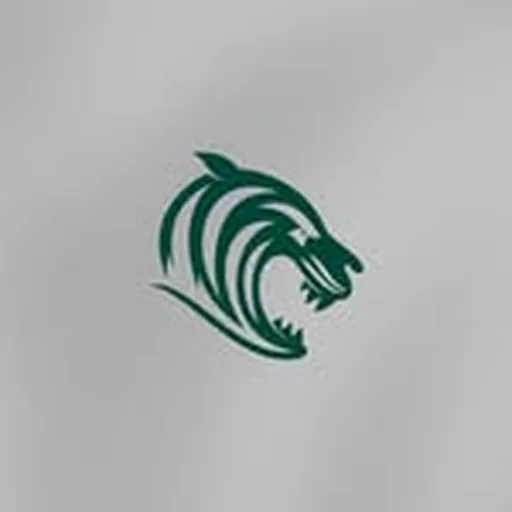 @tigerswomens profile image