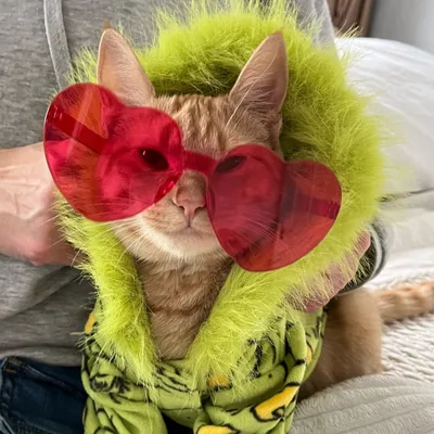 @tiggertheginger.kitty profile image