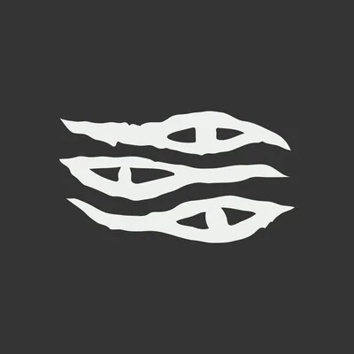 @tigreblanco_mx profile image