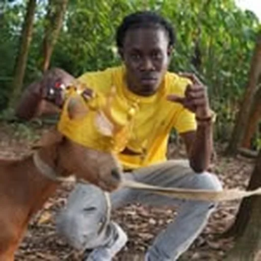 @tii_papa_zb profile image