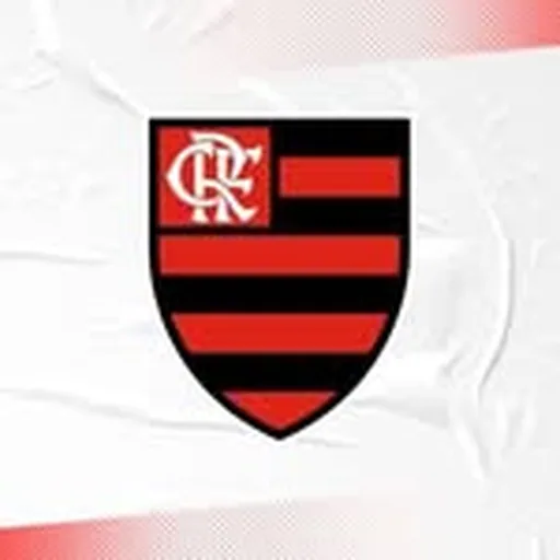 @timeflamengo profile image