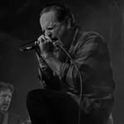 @timwilliamsvox profile image