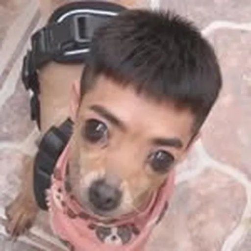 @tinyyterror profile image