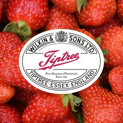 @tiptreeofficial profile image