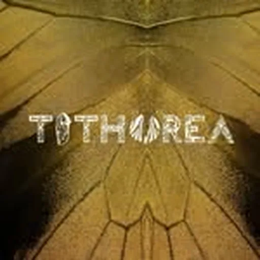 @tithoreanyc profile image