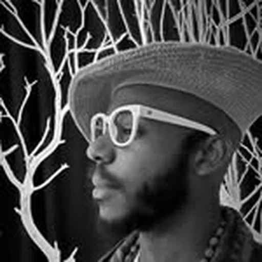 @tivon_bzz profile image