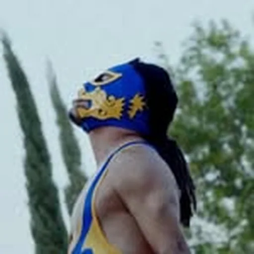 @tlalocluchador profile image