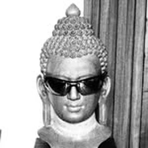 @tmt.t profile image