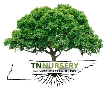@tnnursery profile image