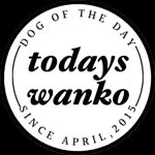 @todayswanko profile image