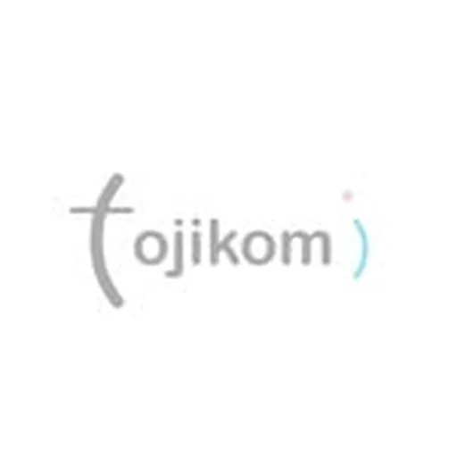 @tojikomi profile image
