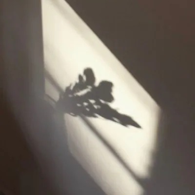 @tomokojima__ profile image