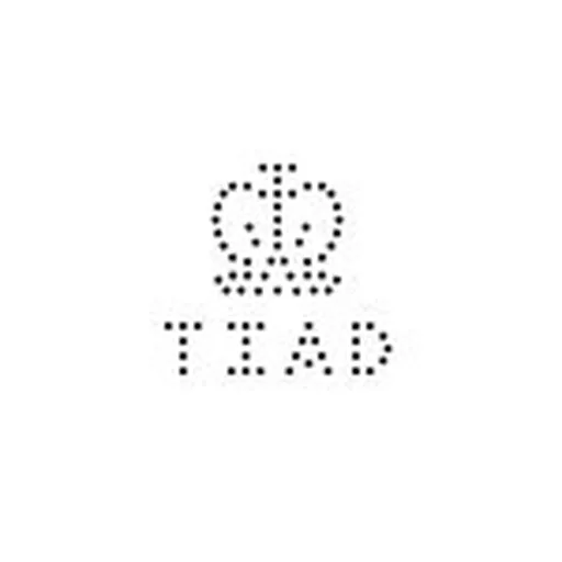 @tomorrowisanotherday_agency profile image
