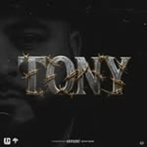 @tonymoxberg profile image