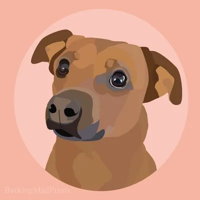 @tootie_dog profile image