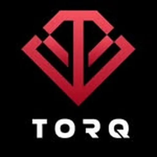 @torq.gear profile image