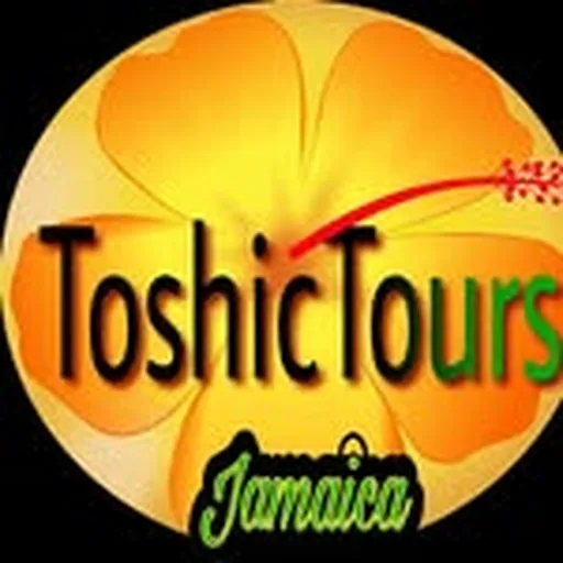 @toshictours profile image