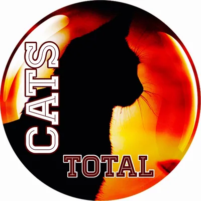 @total_cats profile image