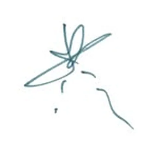 @toucheamore profile image