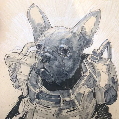 @toyagogo profile image