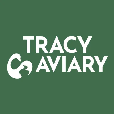 @tracyaviaryofficial profile image