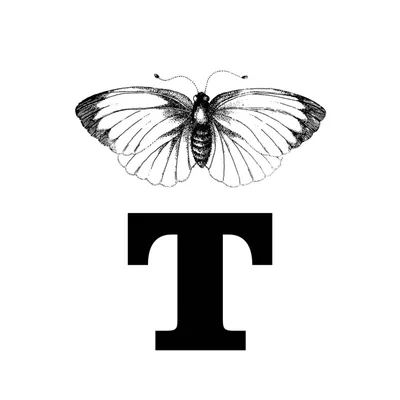 @tradgardsliv profile image
