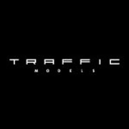 @trafficmodels profile image