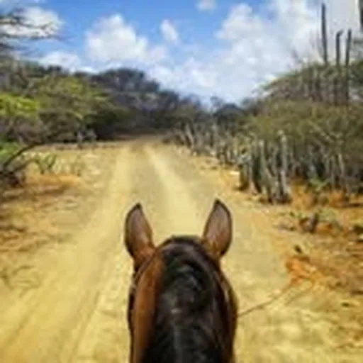 @trailfinders profile image