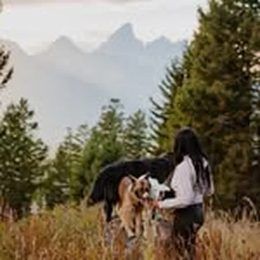 @trailsanddogs profile image