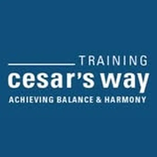 @trainingcesarsway profile image