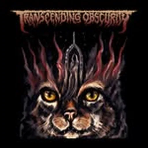@transcendingobscurity profile image