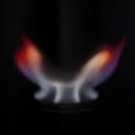 @transmoderna profile image