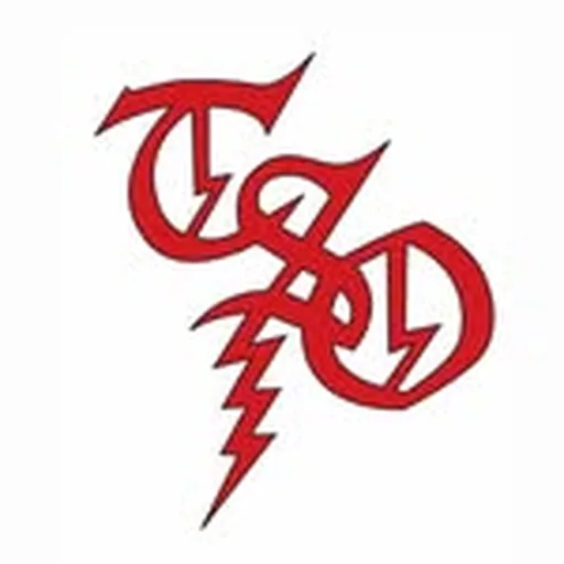@transsiberianorchestra profile image