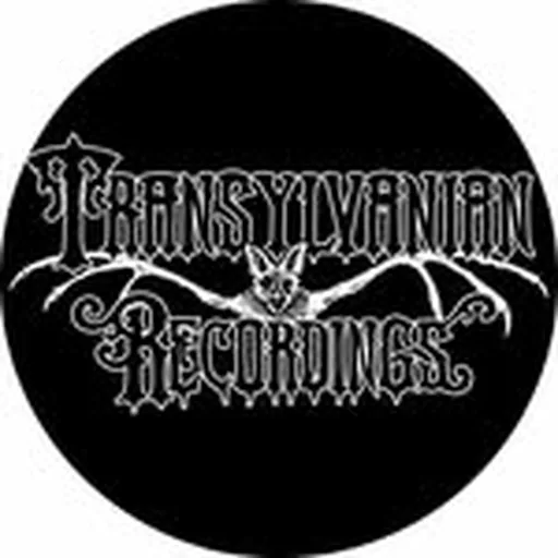 @transylvanianrecordings profile image