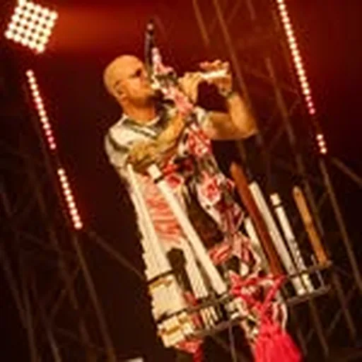 @trapocoletti profile image