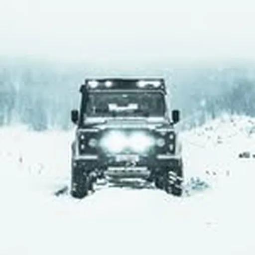 @traveldefender profile image