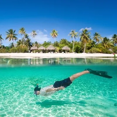 @travelsfever profile image