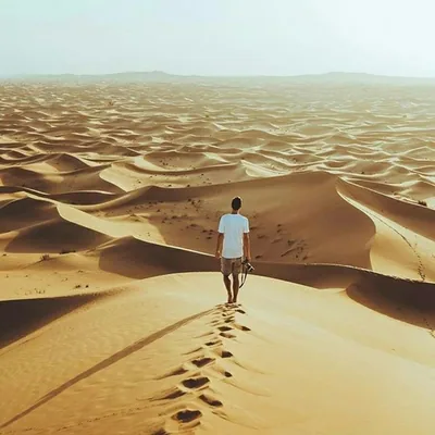 @travelvloggers profile image