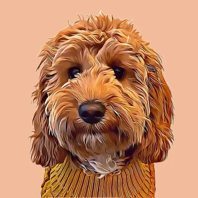 @treacle_thecockapoo profile image