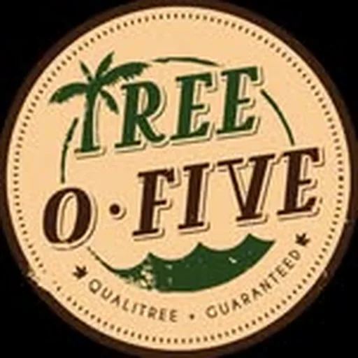 @treeofive profile image