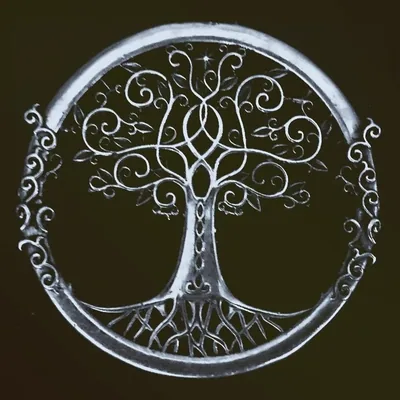@trees_of_darkness_ profile image
