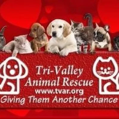 @tri_valley_animal_rescue profile image