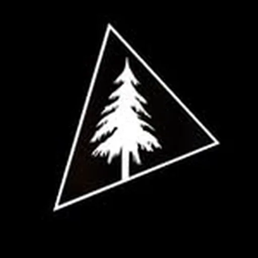 @triangleparkmusic profile image
