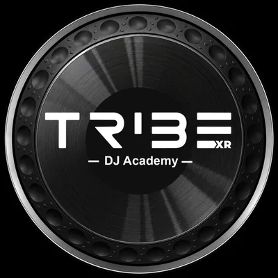 @tribe_xr profile image